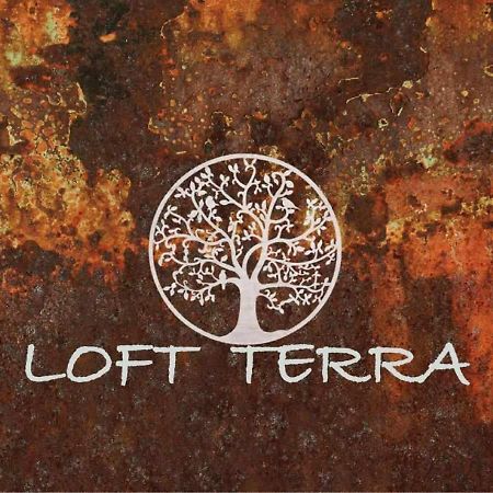 Apartamentos Terra Y Onix Zona Centro Elda Eksteriør billede
